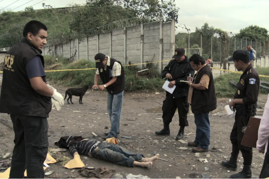 Evolution of Violence